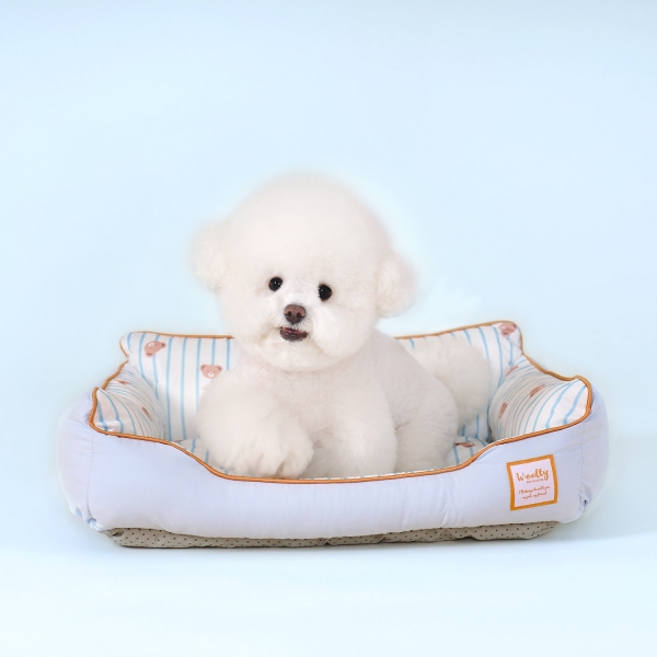쿨링 곰돌이 사각 방석 M
