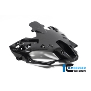 [ILMBERGER CARBON] BMW S1000XR 20-23 / S1000XR 24- / M1000XR 24- / 카본 에어 인테이크 (프론트 페어링 센터) / VEO.030.1XR20.K