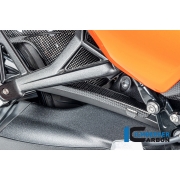 [ILMBERGER CARBON] BMW R12 nineT 24~ / 카본 브레이크 라인 커버 / CG.BLA.005.R12NT