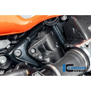 [ILMBERGER CARBON] BMW R12 nineT 24~ / 카본 탱크 브리더 커버 / CG.TLA.011.R12NT