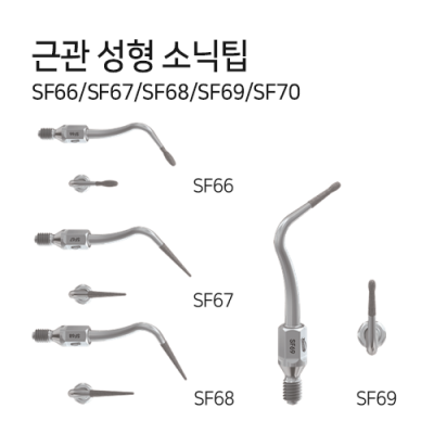 소닉라인 근관 성형팁