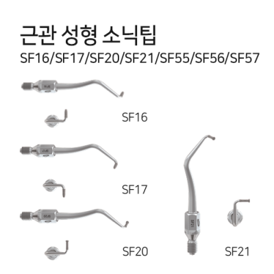 소닉라인 근관 성형팁