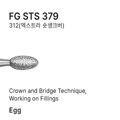 FG STS 379