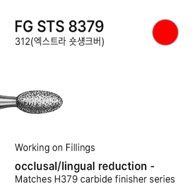 FG STS 8379