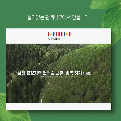 농림부 6차산업 인증기업 피톤치드 편백나무 심재수 심재팩 8개 + 피톤치드 편백오일 10m 대자연의나눔 사천편백림 본사몰