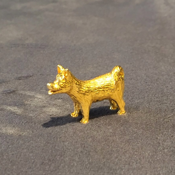 순금개(강아지)