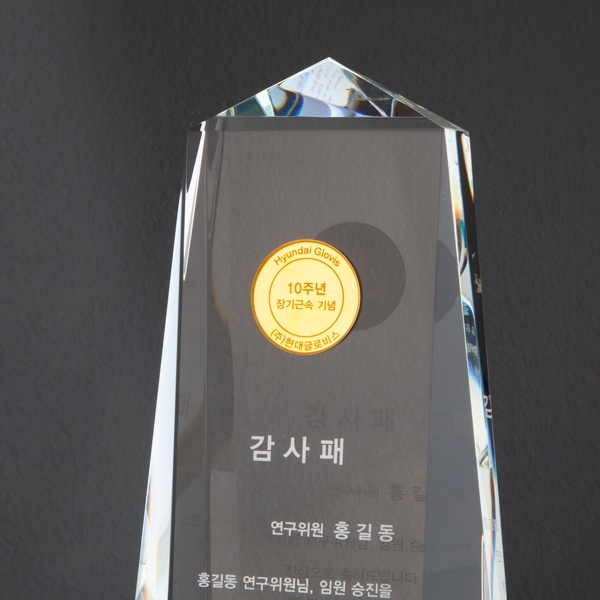 탑상패 + 금코인(금형비별도)