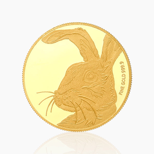 순금토끼코인