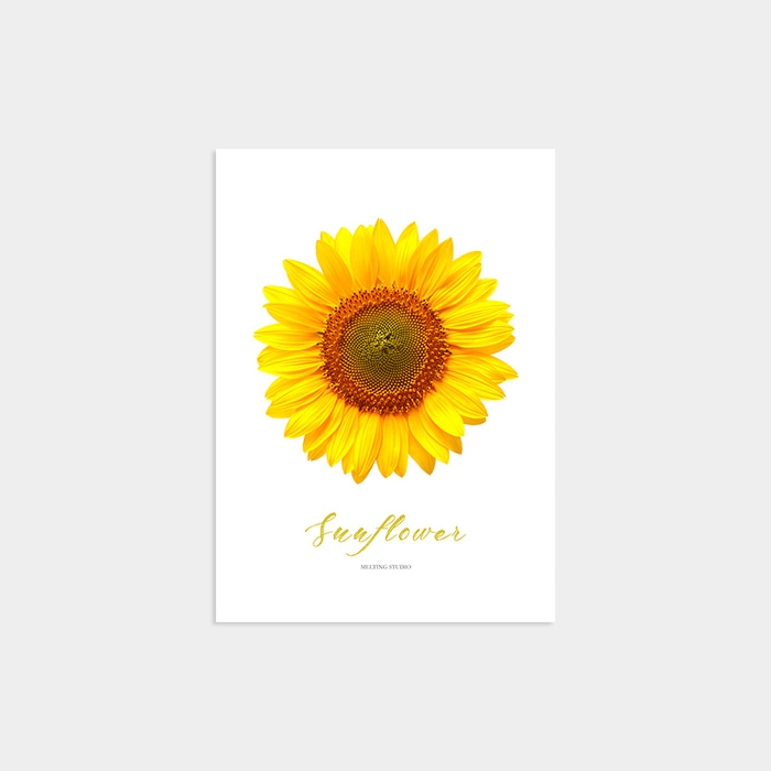 YELLOW SUNFLOWER