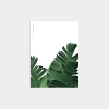 TROPICAL BANANA LEAVES WHITE