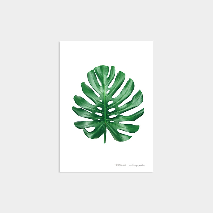 MONSTERA LEAF WHITE