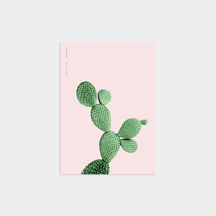 THE CACTUS PINK