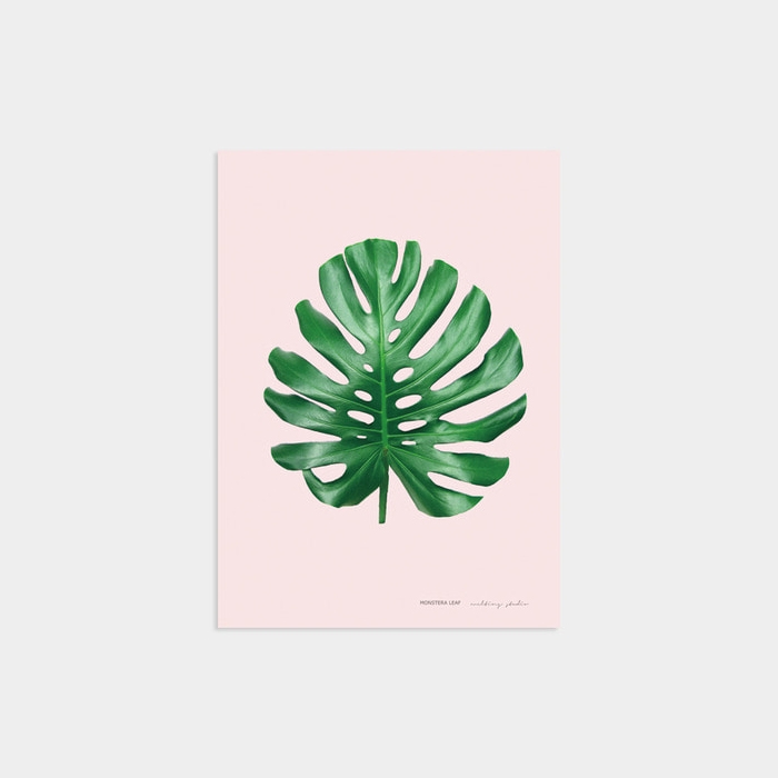 MONSTERA LEAF PINK