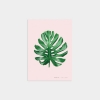 MONSTERA LEAF PINK