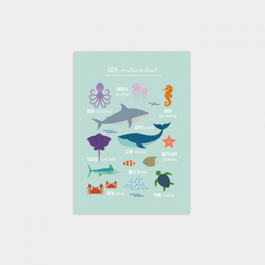 Sea creatures chart