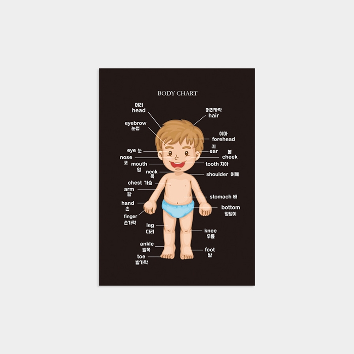 body chart - boy