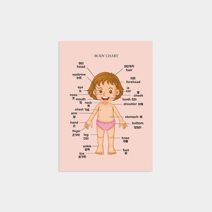 body chart - girl