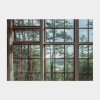 유럽모먼트/ Forest window, United States
