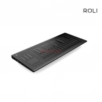 [마스터 키보드] ROLI Seaboard RISE 25