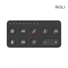 [미디 컨트롤러] ROLI Live BLOCK