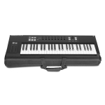 [마스터 키보드 케이스] UDG Creator 49 Keyboard Hardcase Black (U8306BL)