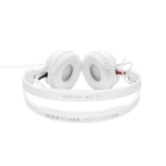 [모니터 헤드폰] Sennheiser HD 25 (75th Ltd.)