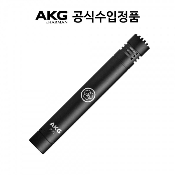 AKG 악기용 마이크 P170