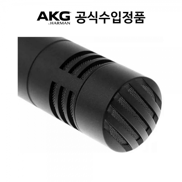 AKG 악기용 마이크 P170