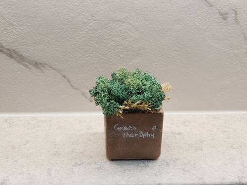 [에코비아]스칸디아모스 천연이끼 공기정화식물 인테리어선물화분 Green사각/원형줄무늬화분