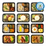 굿스푼 저당 당뇨 도시락 12종 12팩 양많은 밥 반찬 냉동 배달 건강 임당 식단표