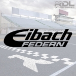 Eibach Federn 데칼