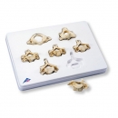 경추 세트 인체 모형