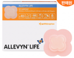 [급여]알레빈 라이프