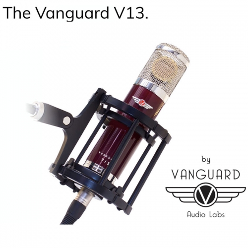 Vanguard Audio Labs V13 정식수입품