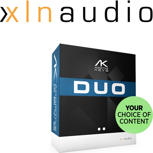 XLN Audio Duo Bundle | 정식수입품