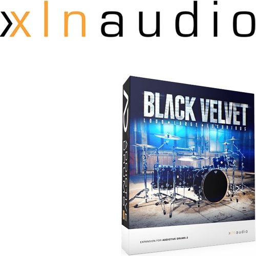 XLN Audio Black Velvet |정식수입품