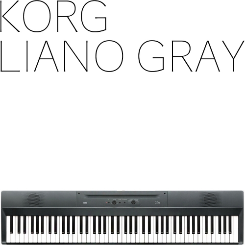 Korg Liano | Metallic Gray | 220V정식수입품