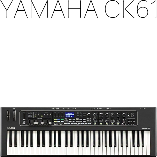 Yamaha CK61 야마하뮤직코리아 220V정식수입품