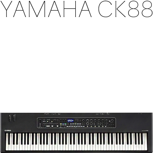 Yamaha CK88 야마하뮤직코리아 220V정식수입품