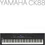 Yamaha CK88 야마하뮤직코리아 220V정식수입품