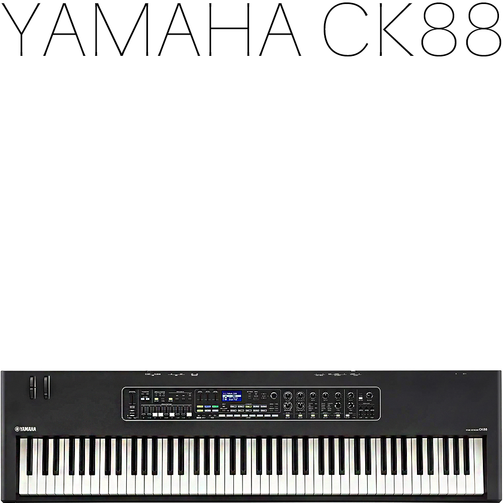Yamaha CK88 야마하뮤직코리아 220V정식수입품