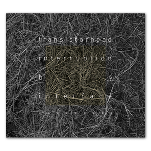 Transistorhead - interruption by interface 2011 | 트랜지스터헤드