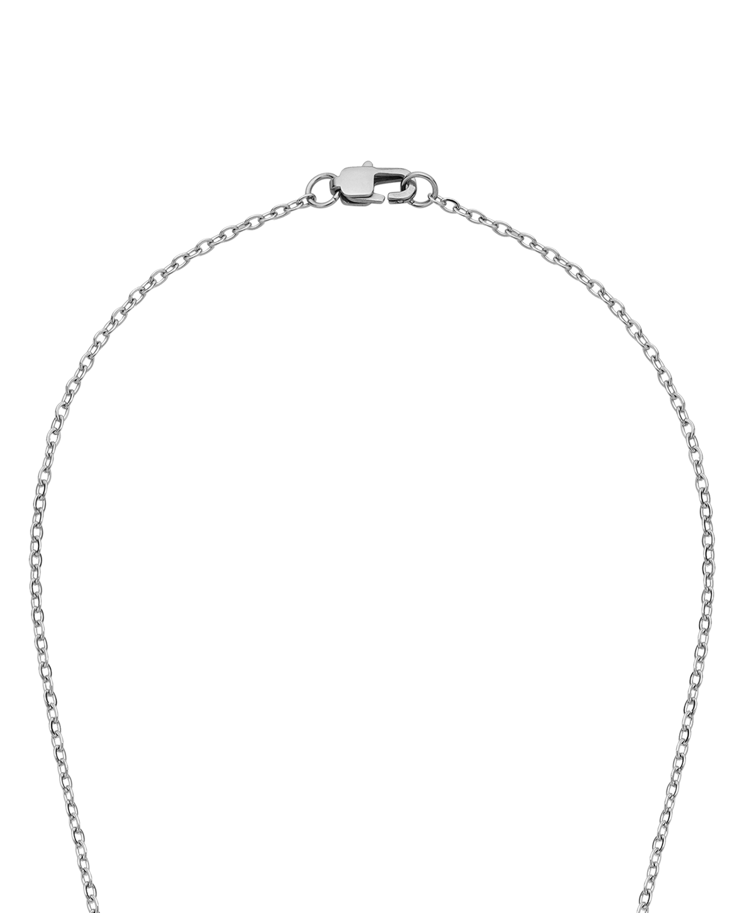 INSANE APPLE NECKLACE_SILVER