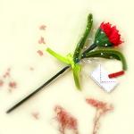 모루 한송이 카네이션 감사편지 꽃다발 종이접기 만들기세트