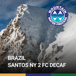 브라질 산토스 NY 2 FC 디카페인