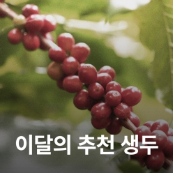 [5월 추천 생두]코스타리카 볼칸 아술 볼칸시토 화이트 허니