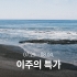 [이주의 특가]페루 라 리마 카투아이 문도 노보워시드