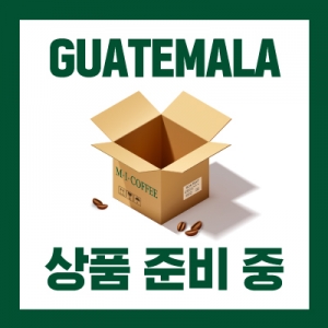 [Guatemala COE One of a Kind #5]쿠프 아그리코라 인테그랄 치코흐 R.L카투라 내추럴