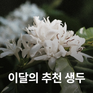 [3월 추천 생두]콜롬비아 카우카 리오 클라로