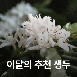 [3월 추천 생두]페루 라 리마 카투아이 문도 노보 워시드